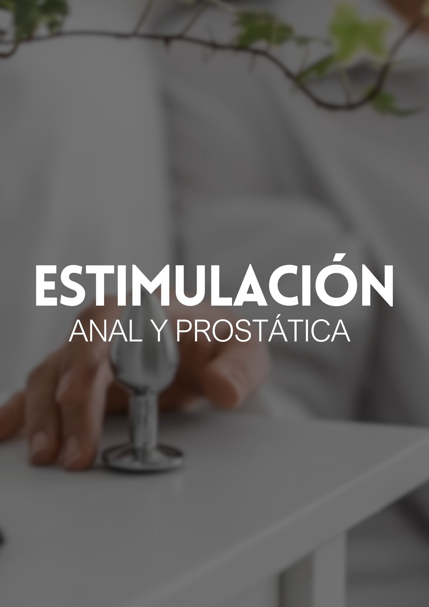 Estimulación Anal y Prostática
